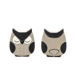 Click here to see Adams&Co 50461 50461 4x4x1 reversible wood cutout (OWL) grey, black The Adams Family Collection