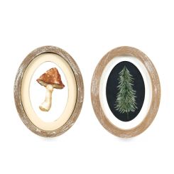 Click here to see Adams&Co 60279 60279 6x8x1.5 rvs wood frame sign (PINE/MUSHROOM) multicolor  Holiday Flora & Fauna