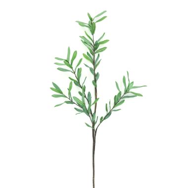 Click here to see Adams&Co K10006 K10006 39' Ollie Olive Branch