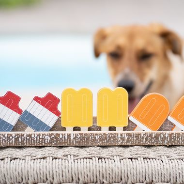 Click here to see Adams&Co 15726 15726 2x3x.25 wood shapes set of six (POPSICLES) multicolor Letterboard Collection