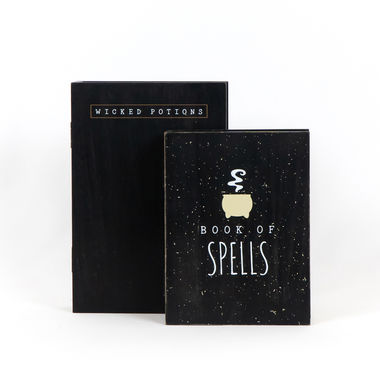 Click here to see Adams&Co 50442 50442 8x12x2 books with hinged boxes set of two (BOOK SPELLS) multicolor The Adams Family Collection