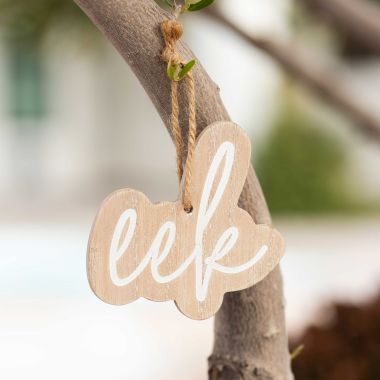 Click here to see Adams&Co 50491 50491 4x4x.25 wood ornament (EEK) natural, white The Adams Family Collection