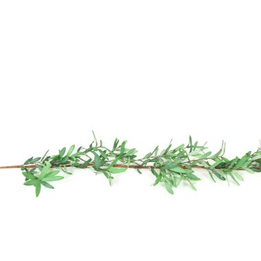 Click here to see Adams&Co K10003 K10003 5' Ollie Olive Garland