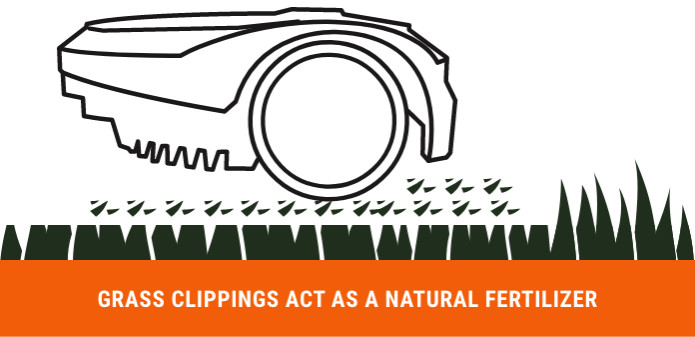An infographic showing how the grass clippings act as a fertilizer